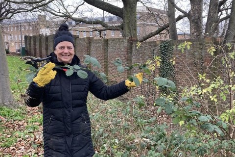Cutting brambles